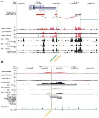 Disruption of c-MYC Binding and Chromosomal Looping Involving Genetic Variants Associated With Ankylosing Spondylitis Upstream of the RUNX3 Promoter